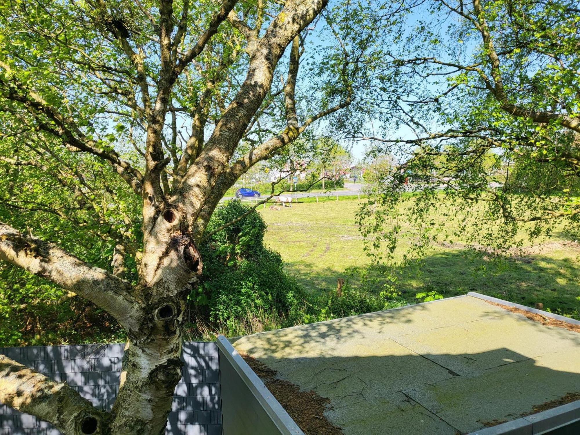 Unsere zweite Heimat, DHH li Sankt Peter-Ording Exterior foto